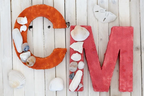 Display your seashell collection with a unique colored sand and shell monogram!  The perfect way to use up seashells!